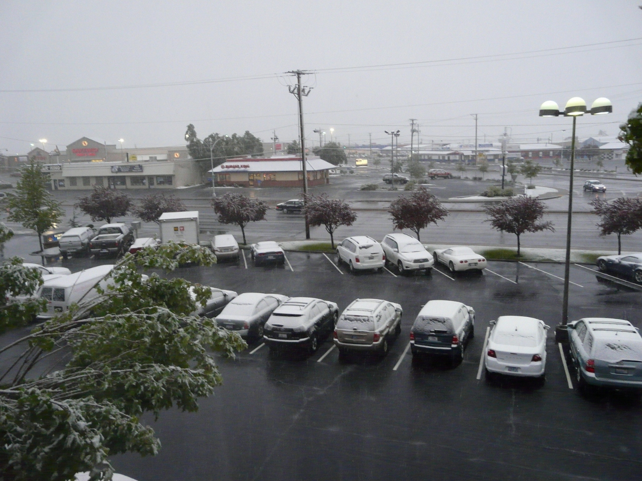 Simi Valley Corvettes