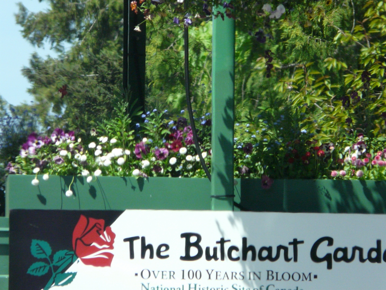 Simi Valley Corvettes