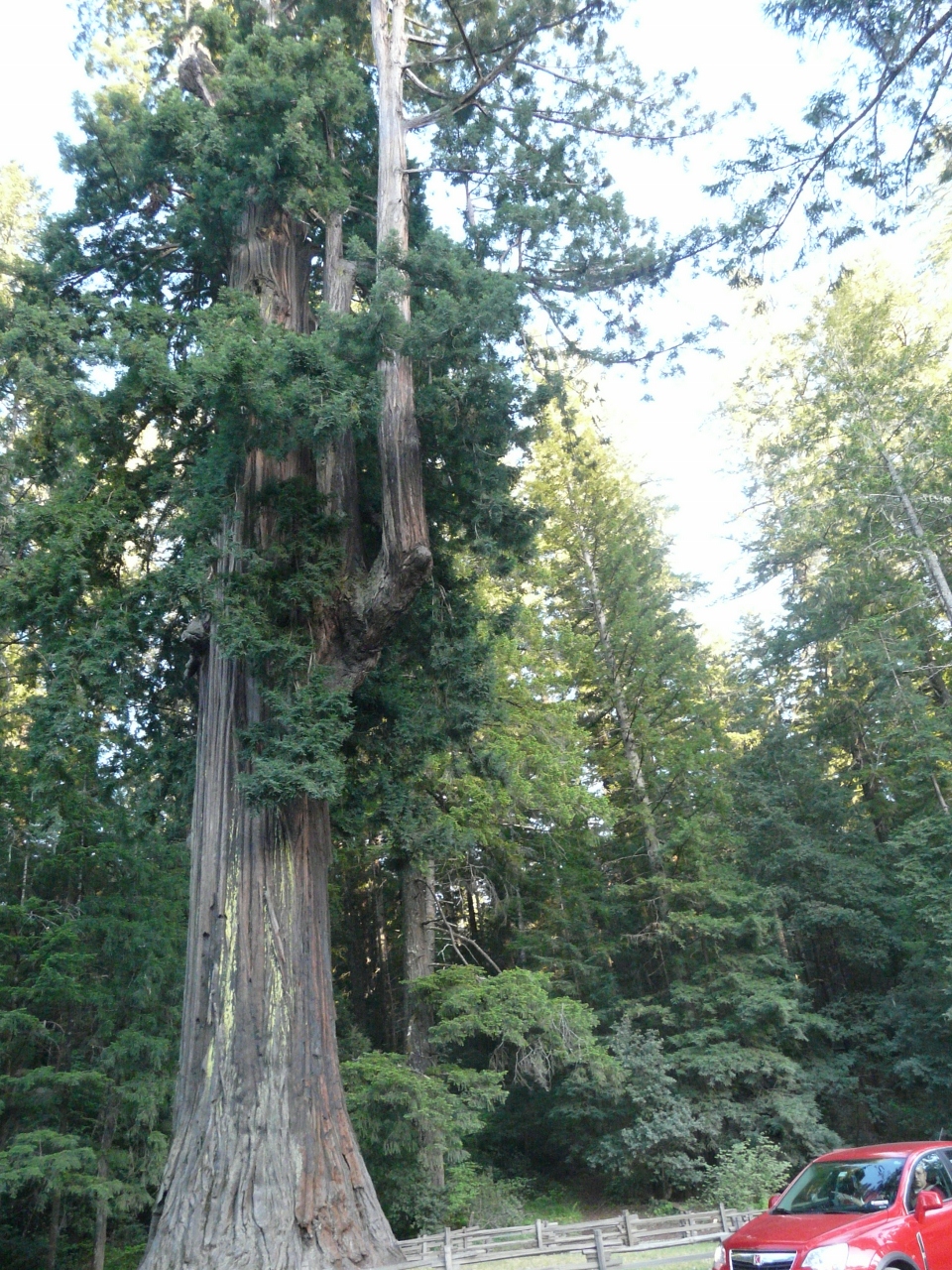 Simi Valley Corvettes