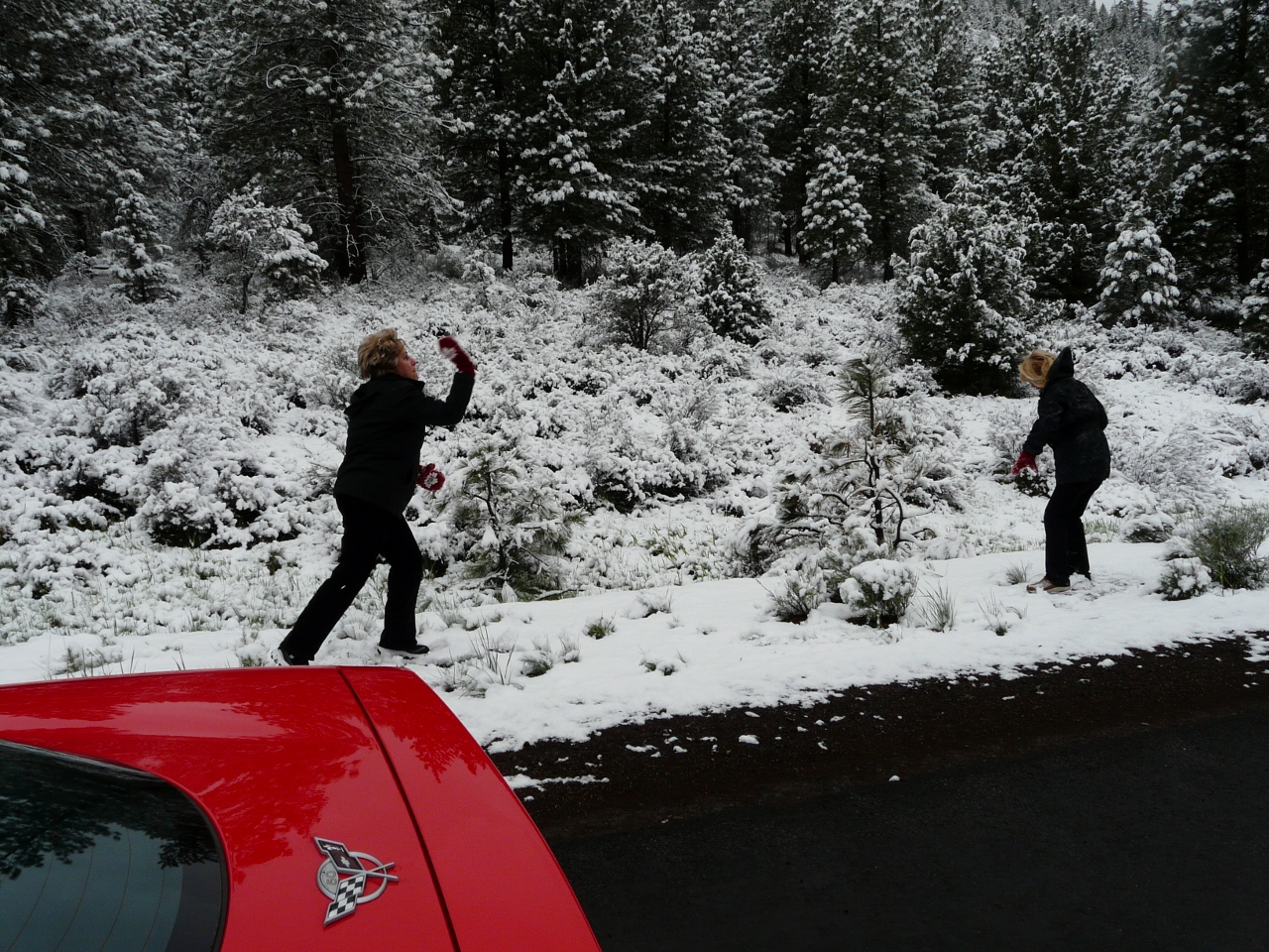 Simi Valley Corvettes