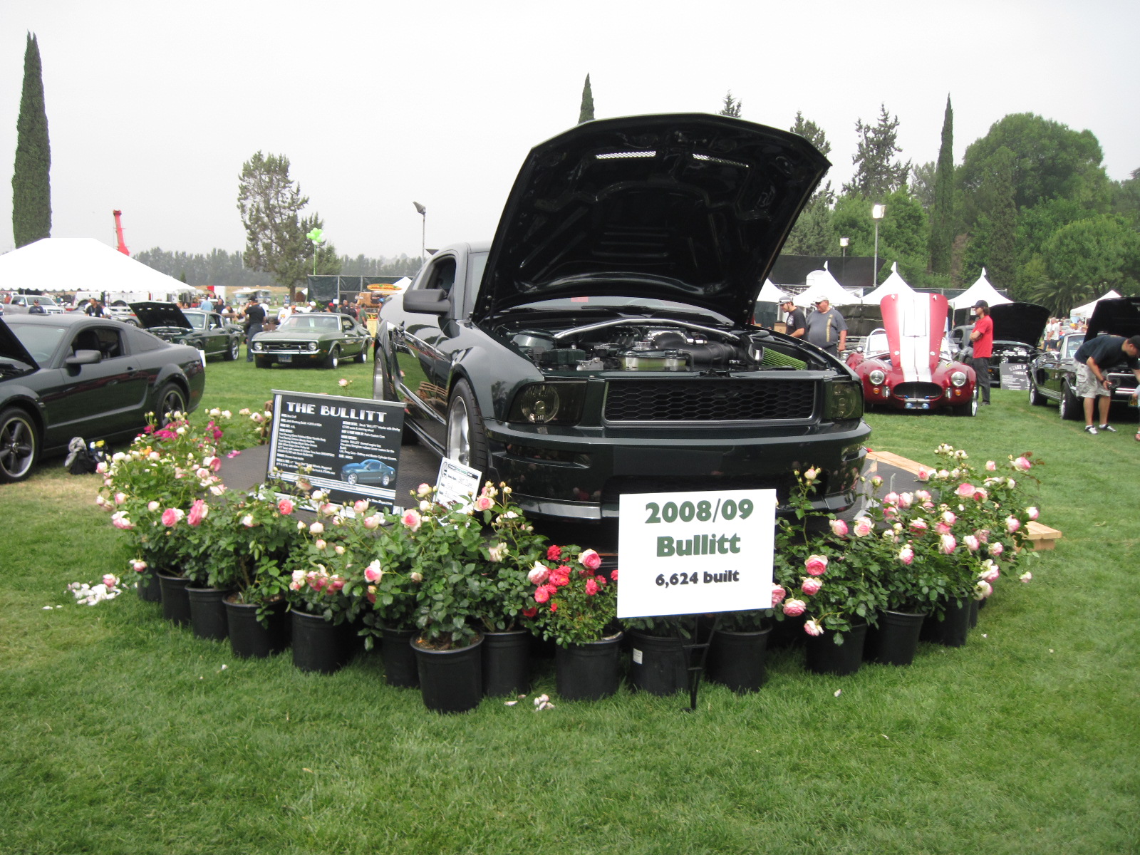 Simi Valley Corvettes