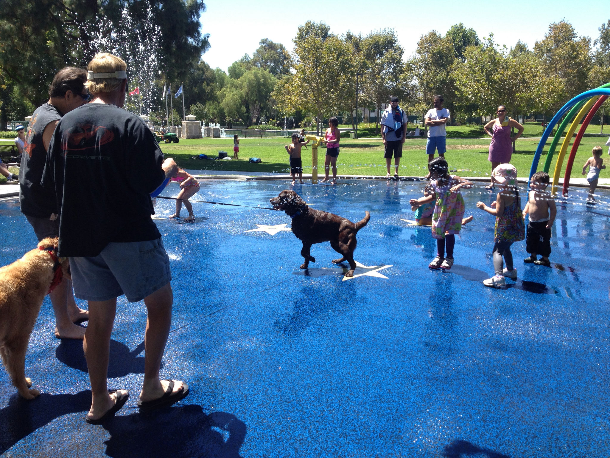 Simi Valley Corvettes