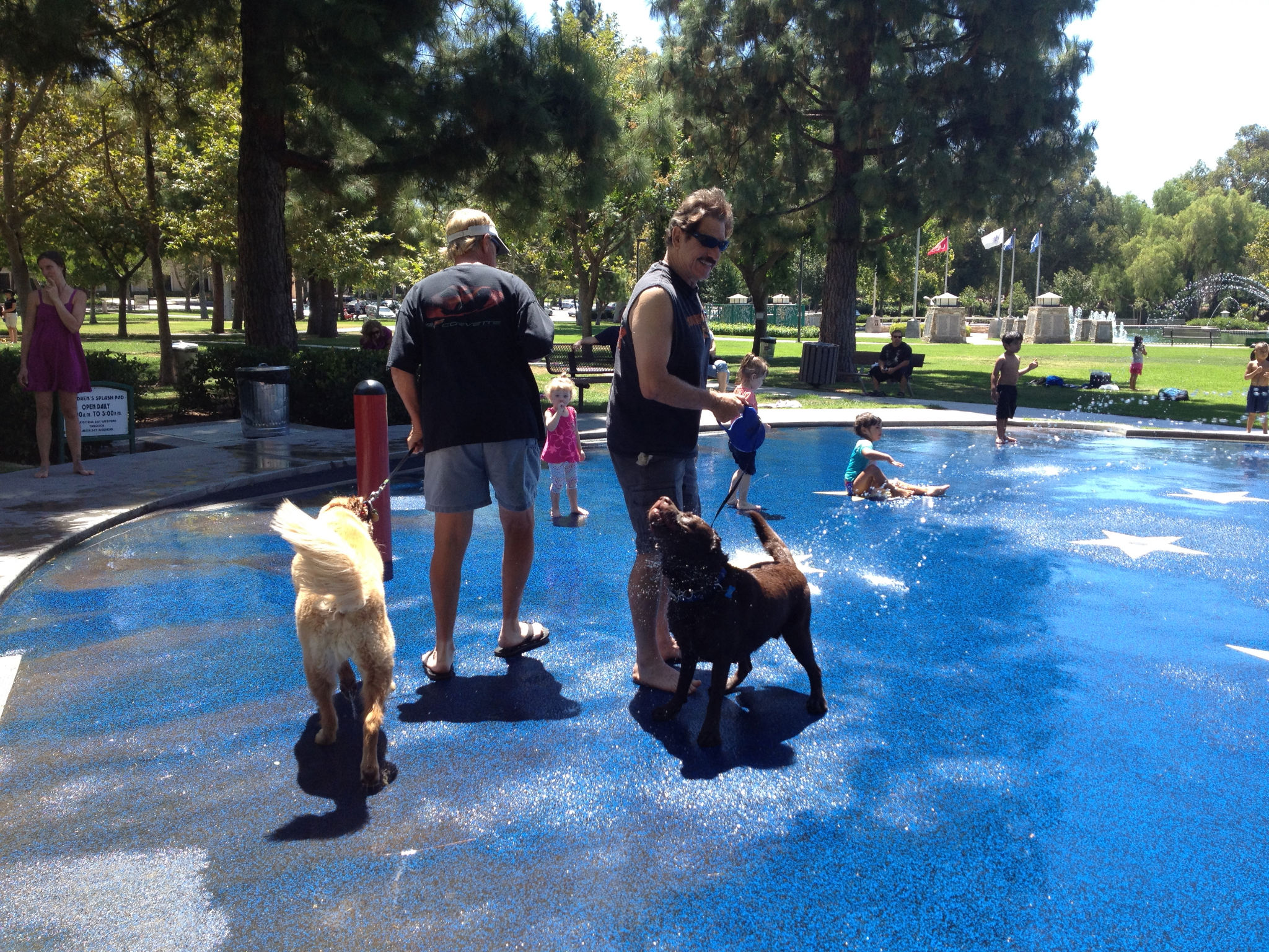 Simi Valley Corvettes