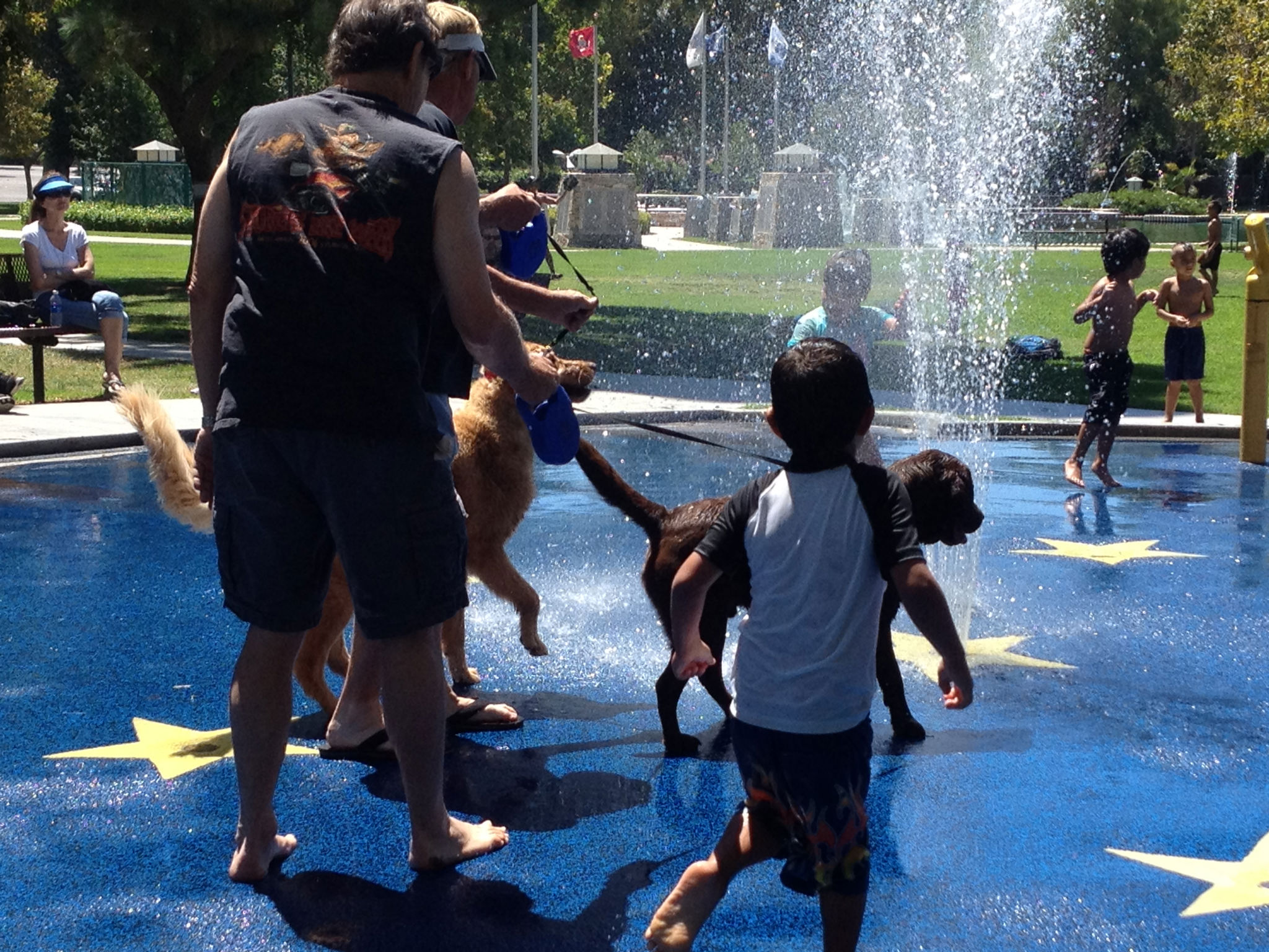 Simi Valley Corvettes