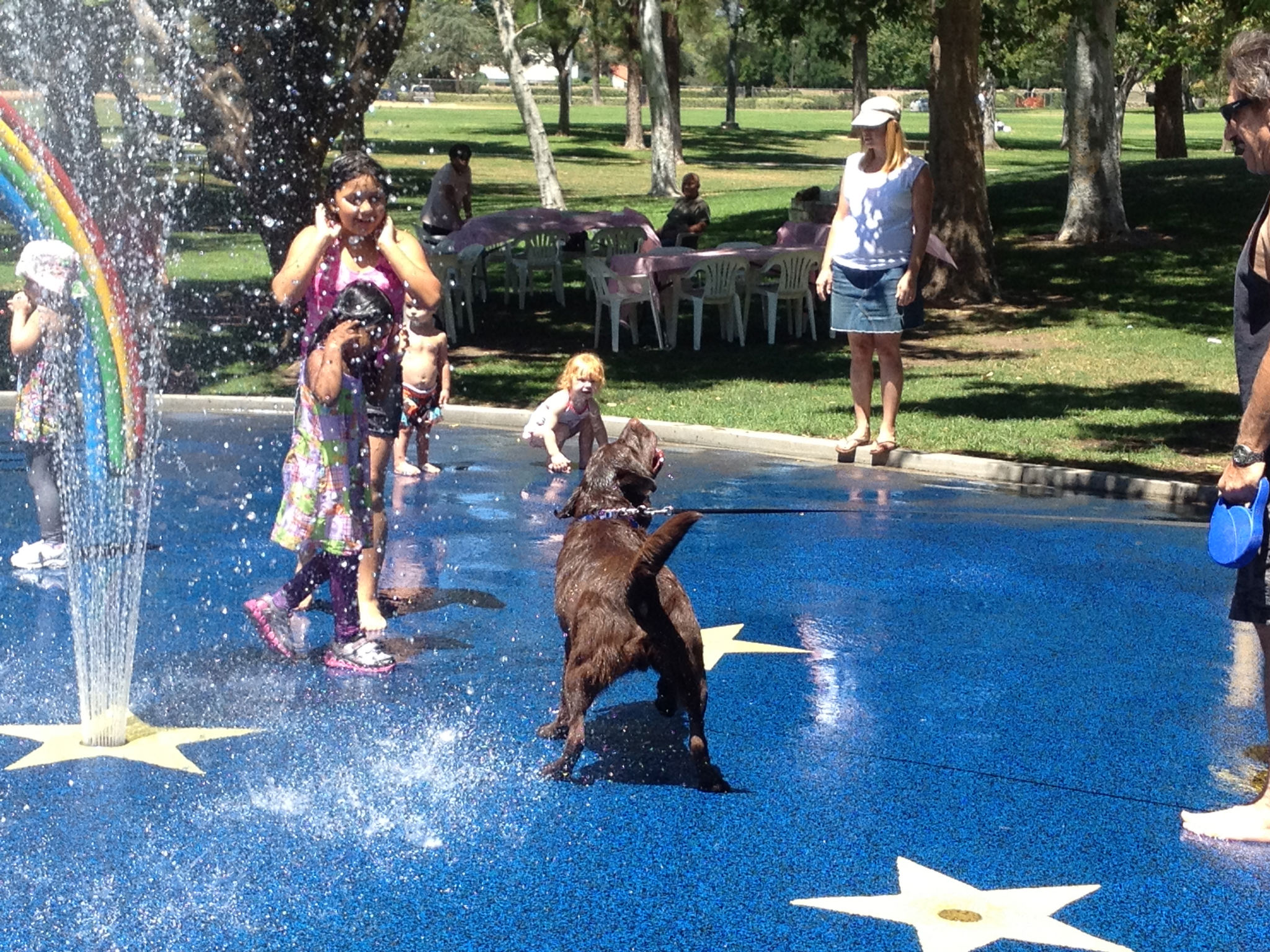 Simi Valley Corvettes
