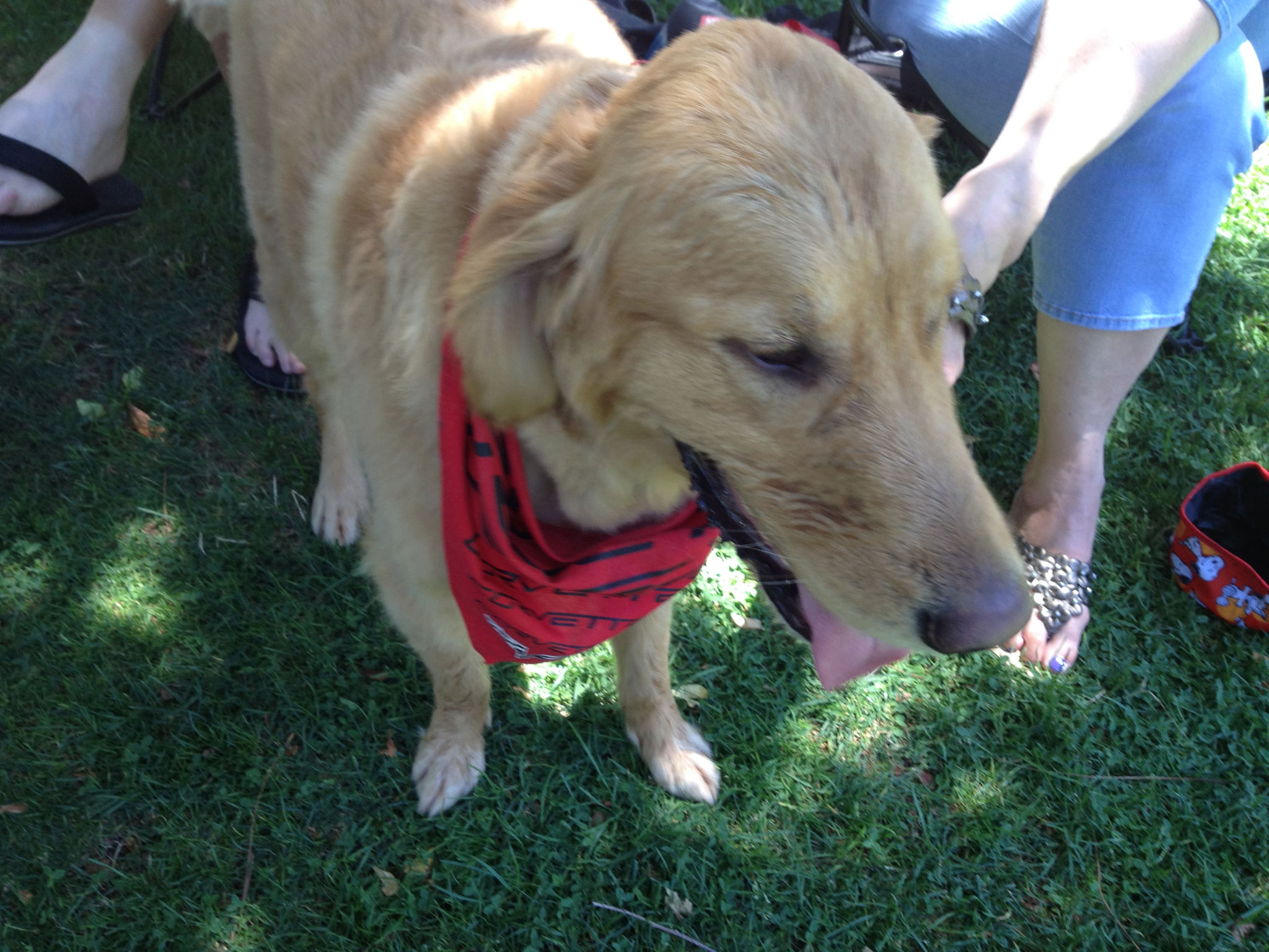 Simi Valley Corvettes