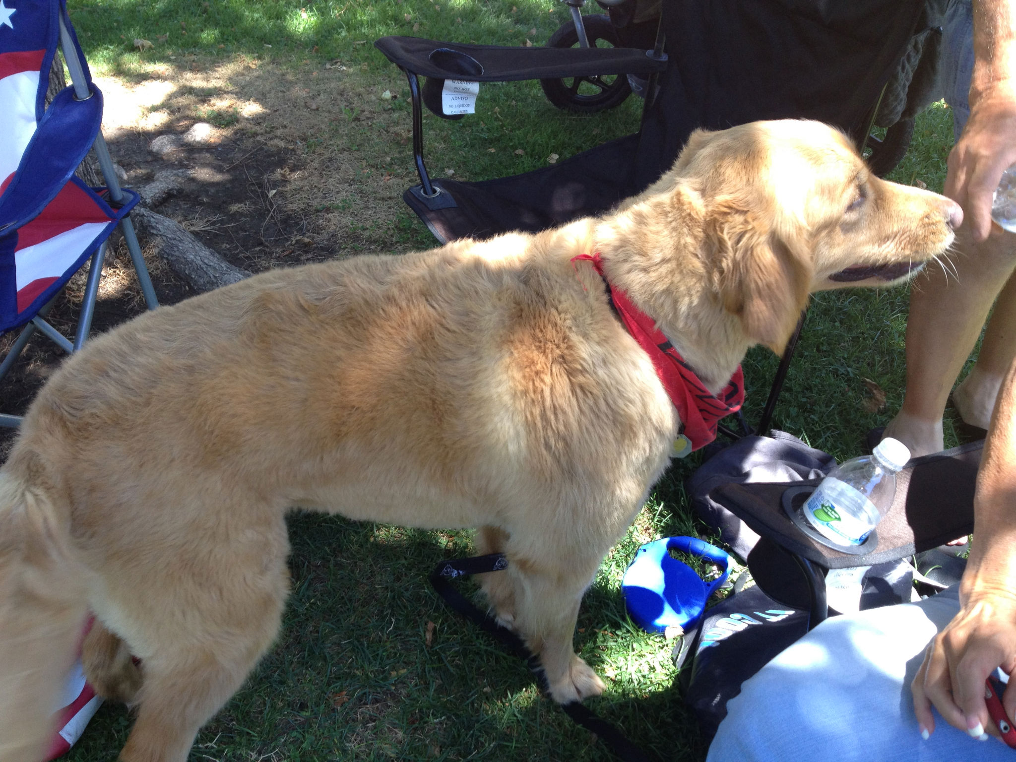 Simi Valley Corvettes