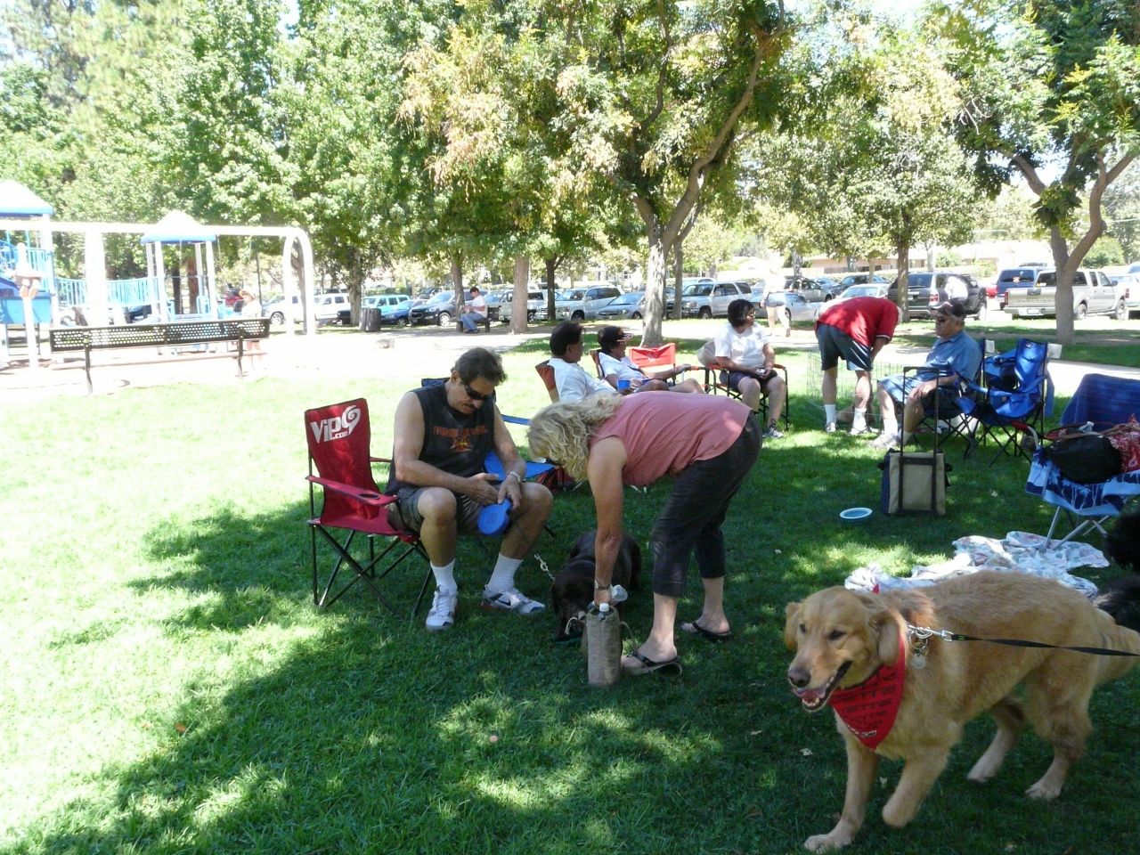 Simi Valley Corvettes