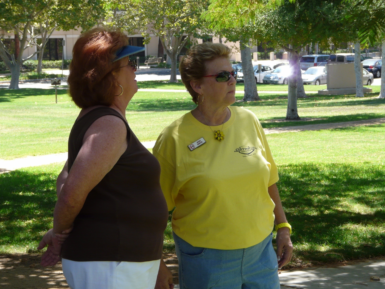 Simi Valley Corvettes