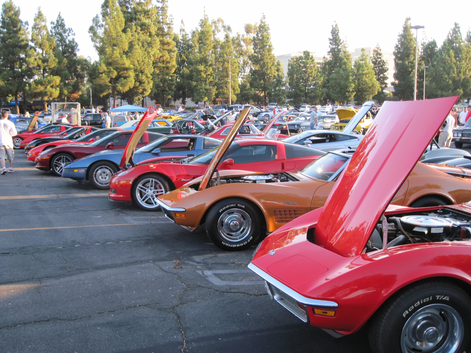 Simi Valley Corvettes
