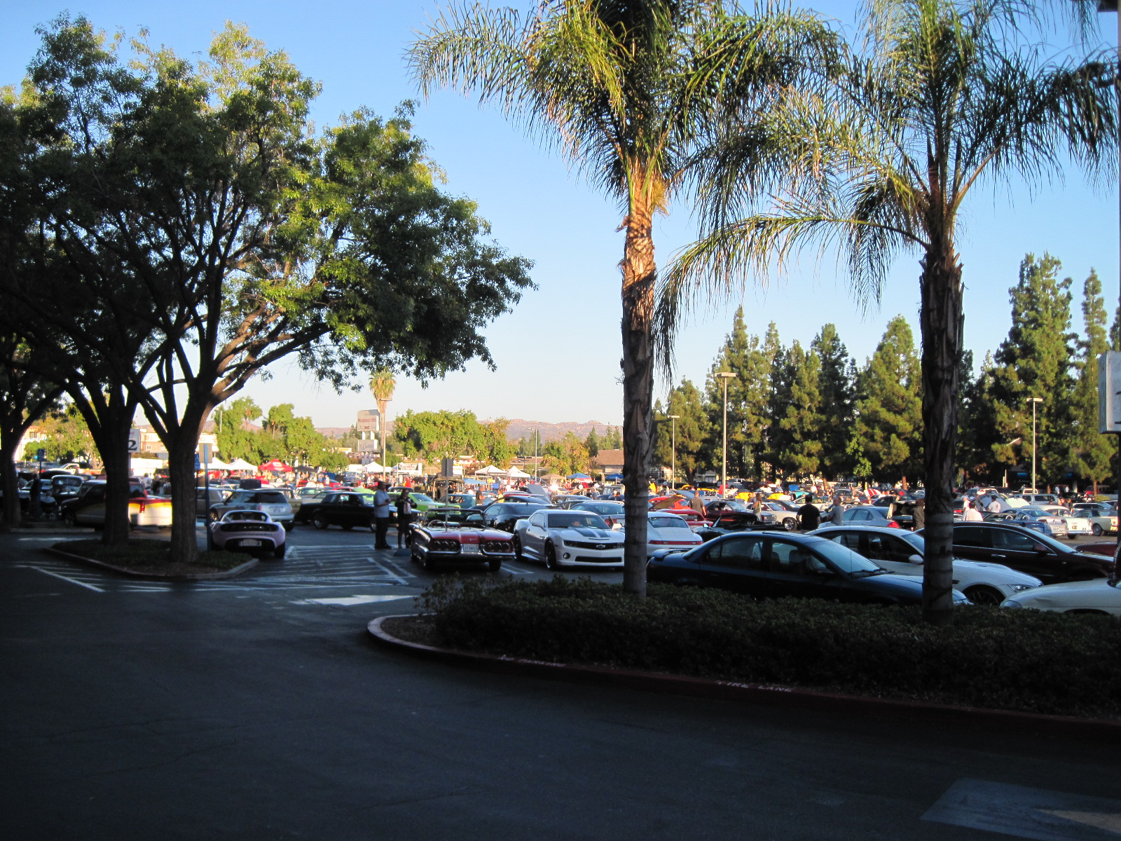 Simi Valley Corvettes