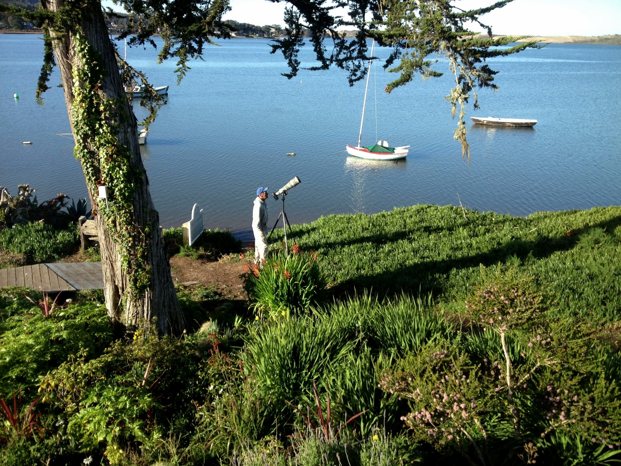Simi Valley Corvettes