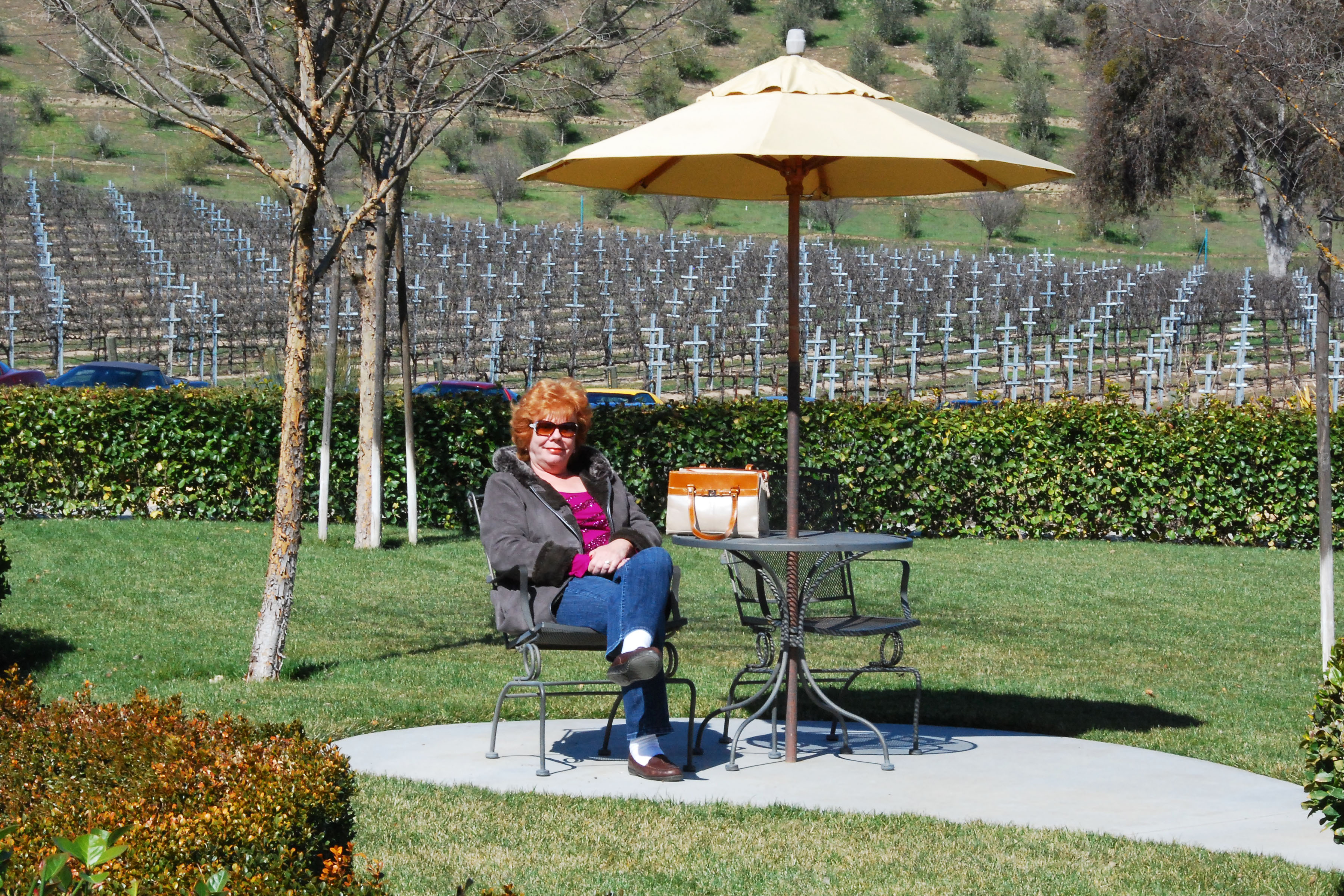 Simi Valley Corvettes