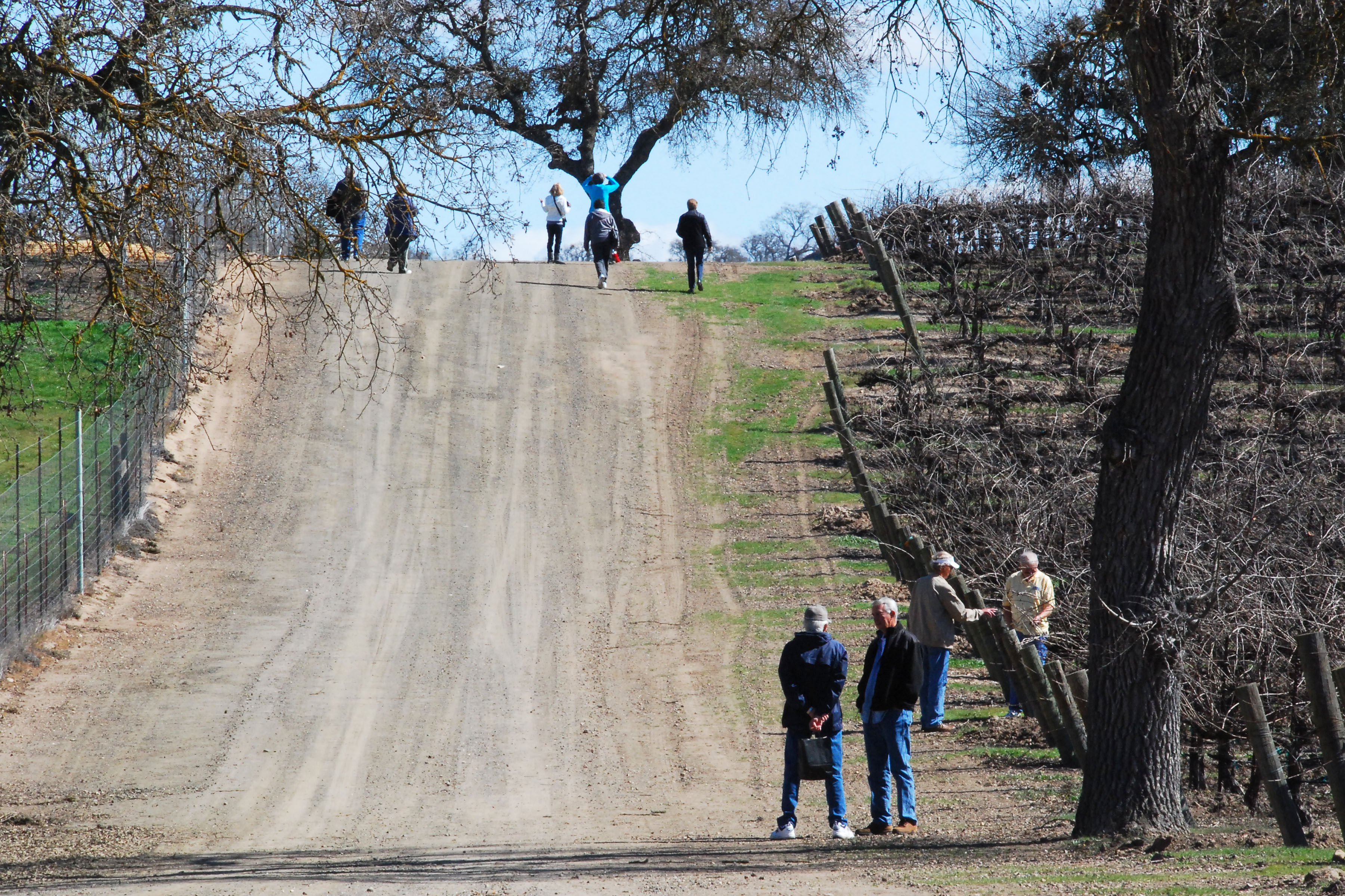 Simi Valley Corvettes