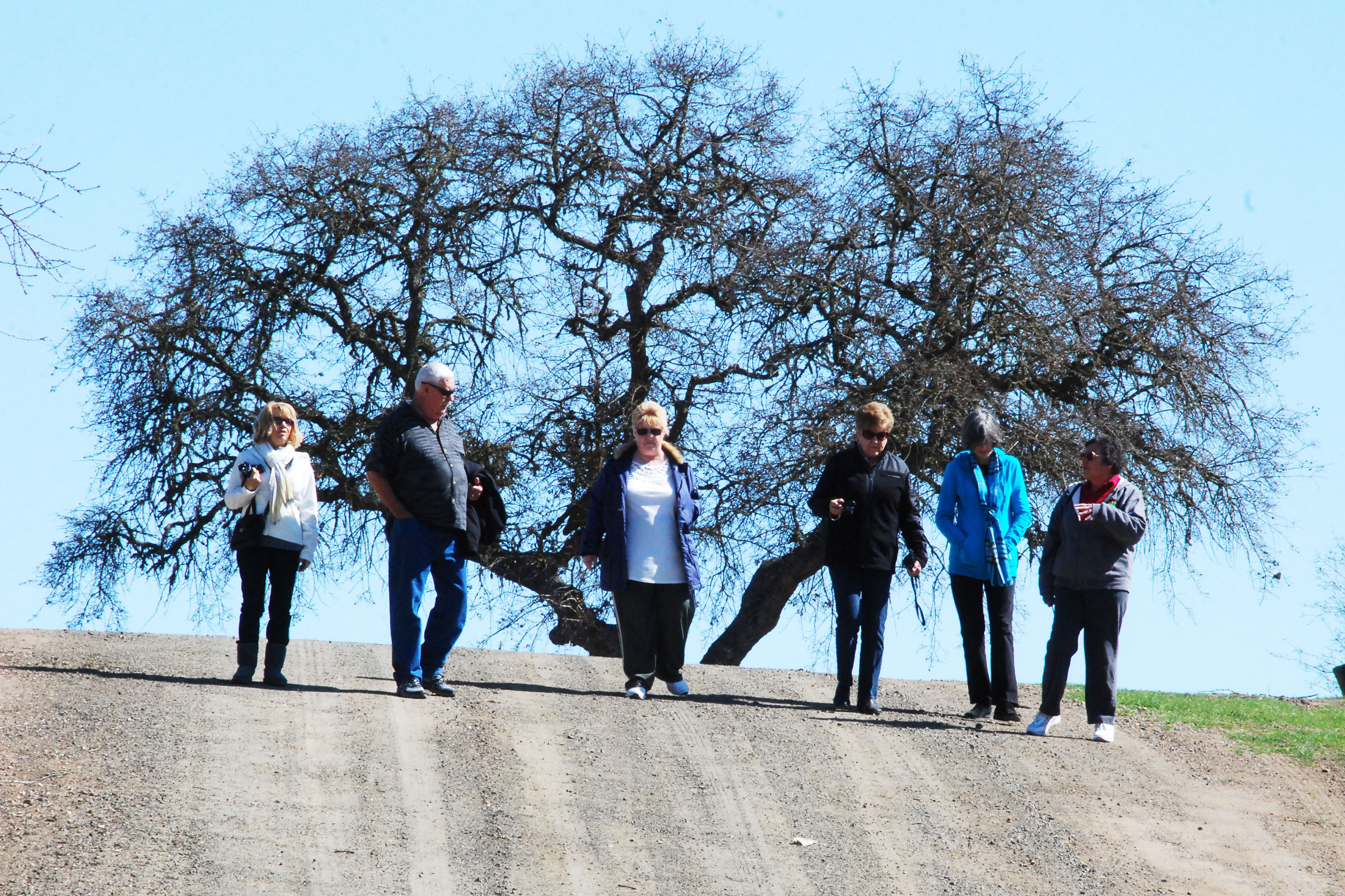 Simi Valley Corvettes