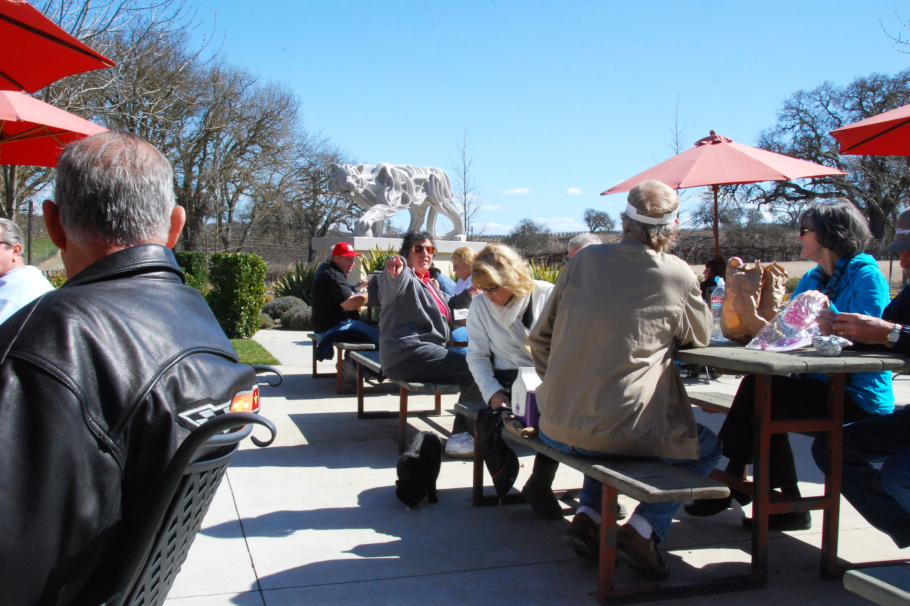 Simi Valley Corvettes