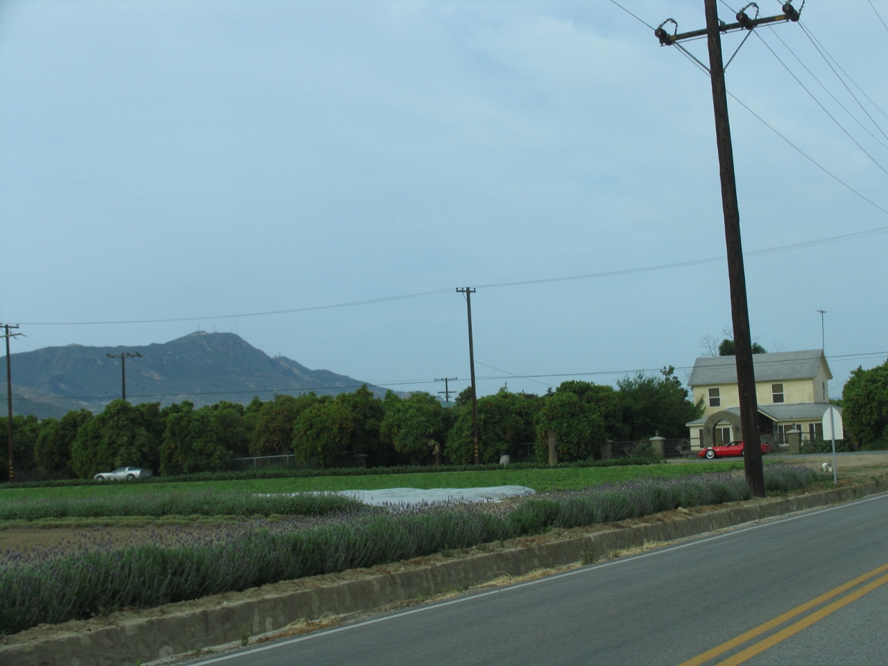 Simi Valley Corvettes