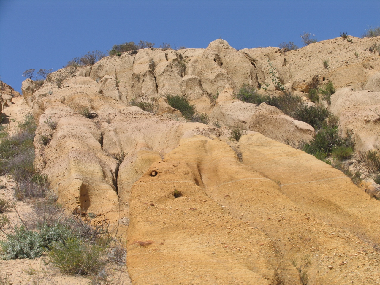 Simi Valley Corvettes