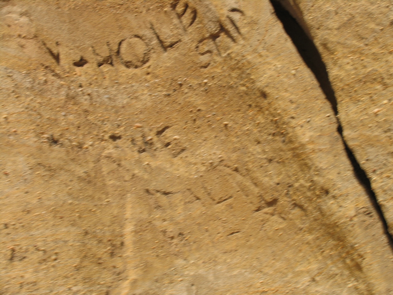 Simi Valley Corvettes