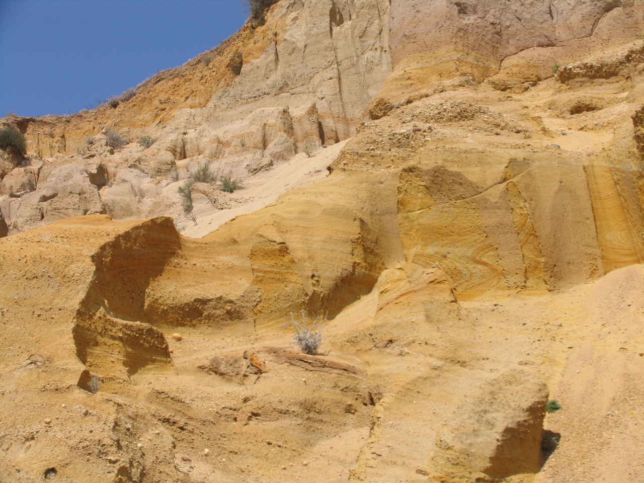 Simi Valley Corvettes