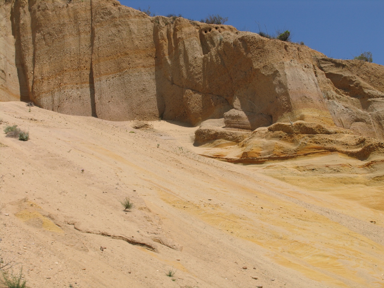 Simi Valley Corvettes