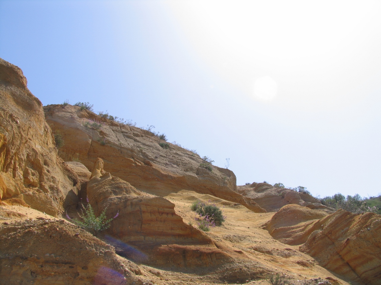 Simi Valley Corvettes