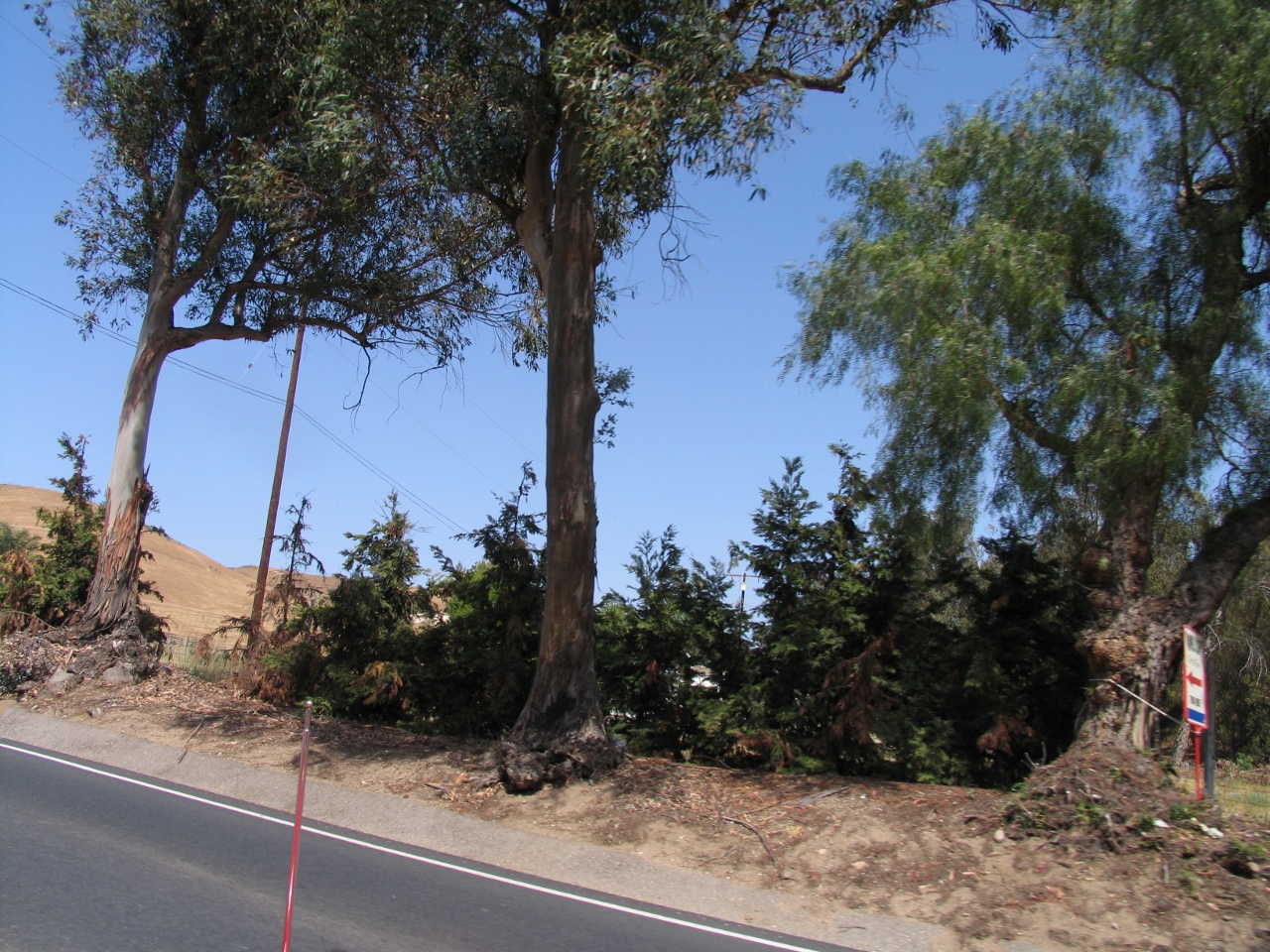 Simi Valley Corvettes
