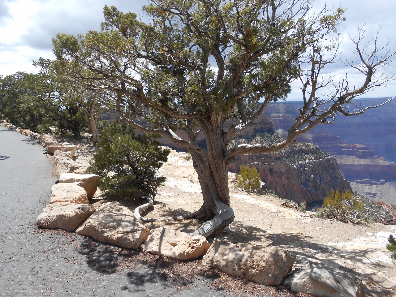 Simi Valley Corvettes