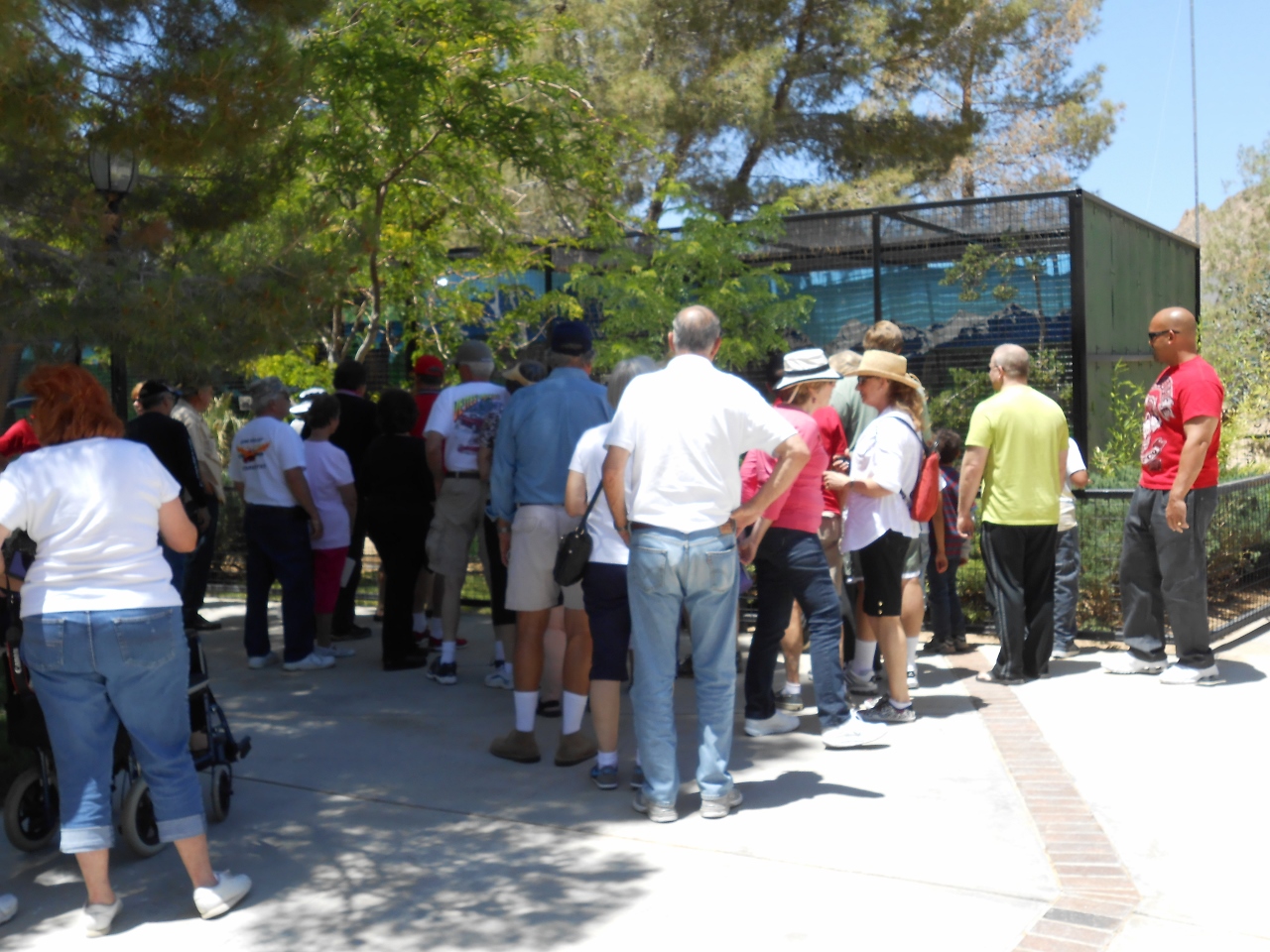 Simi Valley Corvettes