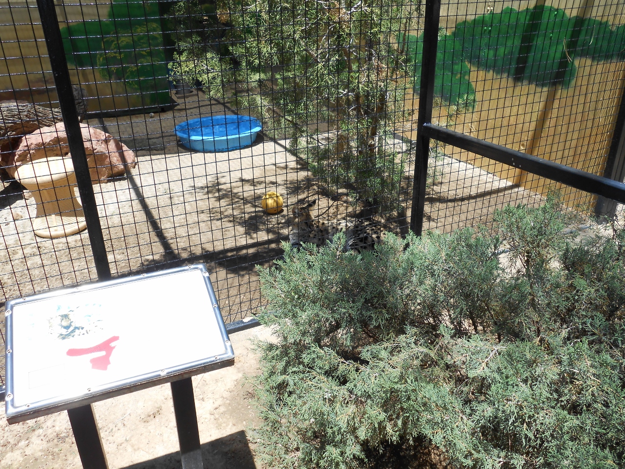 Simi Valley Corvettes