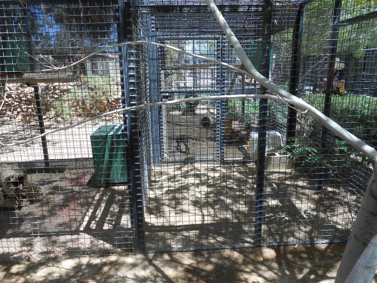 Simi Valley Corvettes