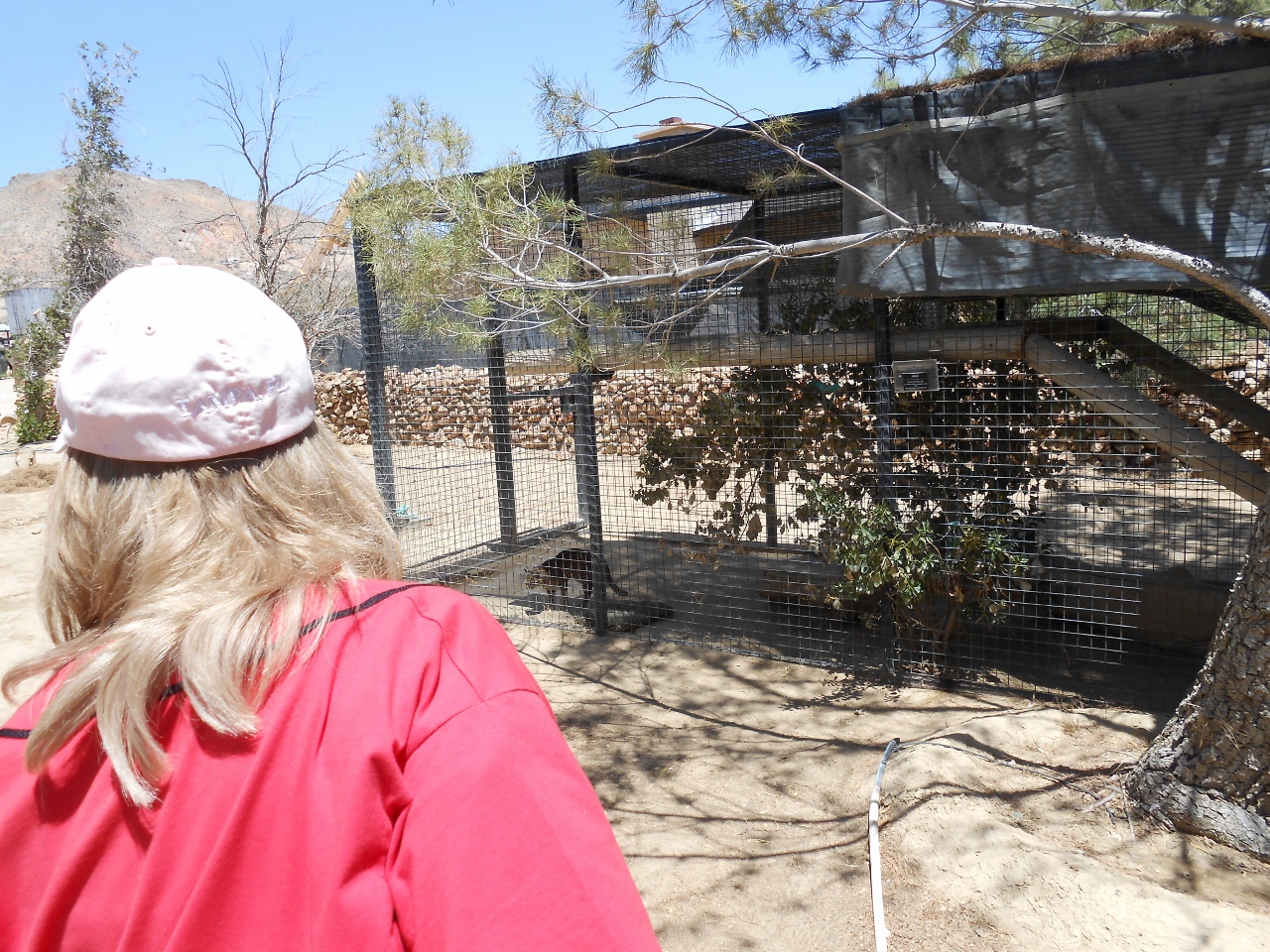 Simi Valley Corvettes