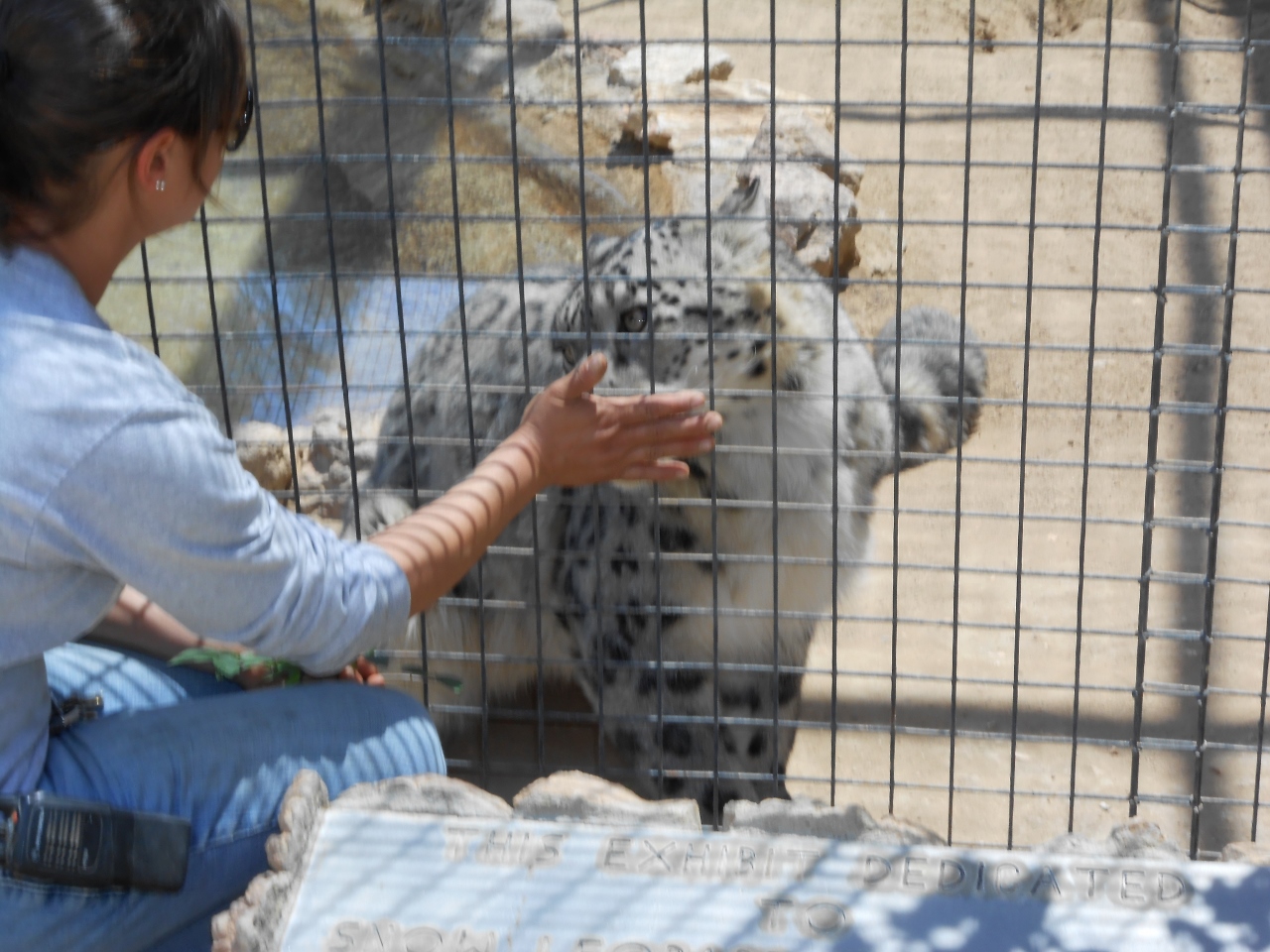 Simi Valley Corvettes