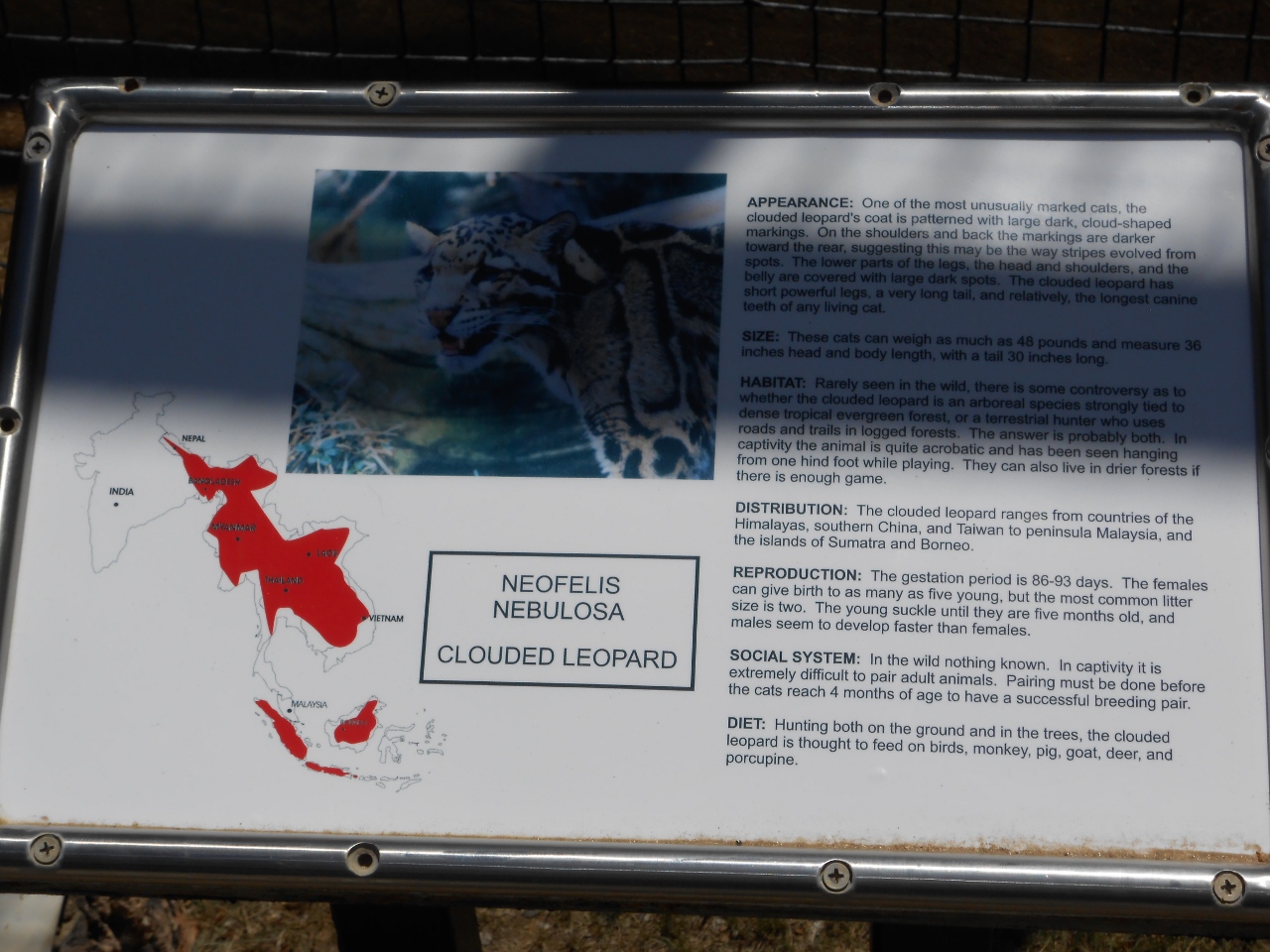 Simi Valley Corvettes