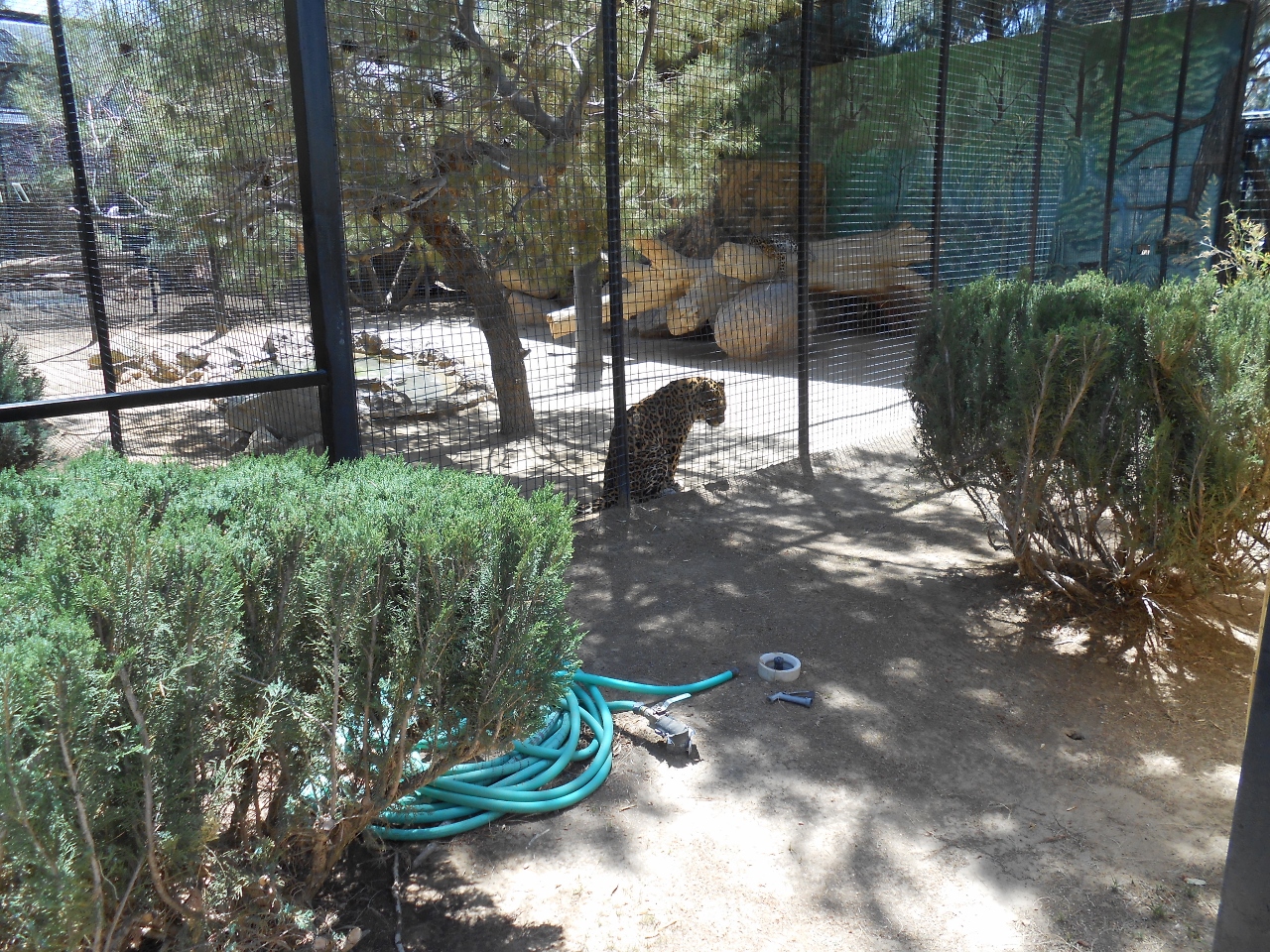 Simi Valley Corvettes