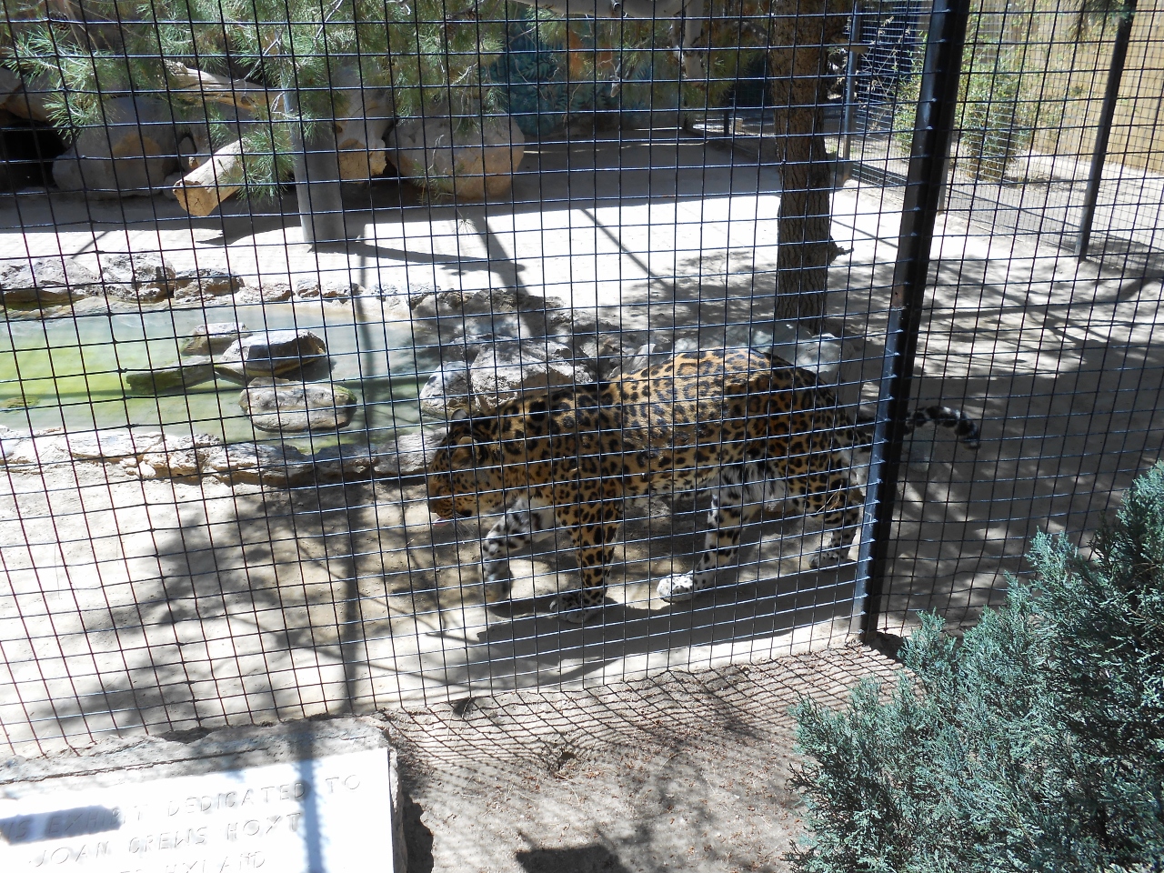 Simi Valley Corvettes