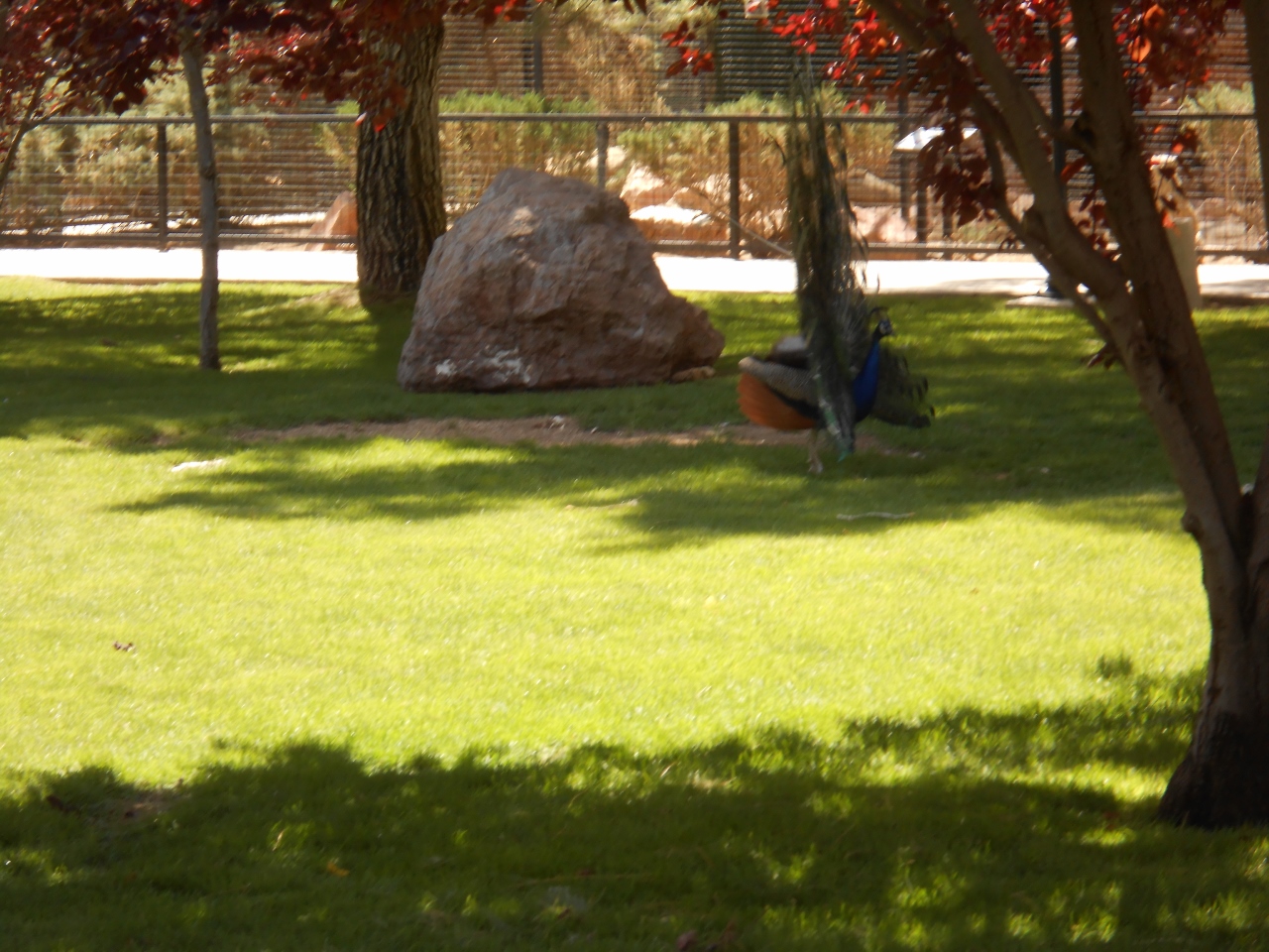 Simi Valley Corvettes