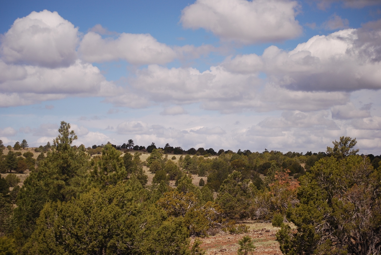 Simi Valley Corvettes