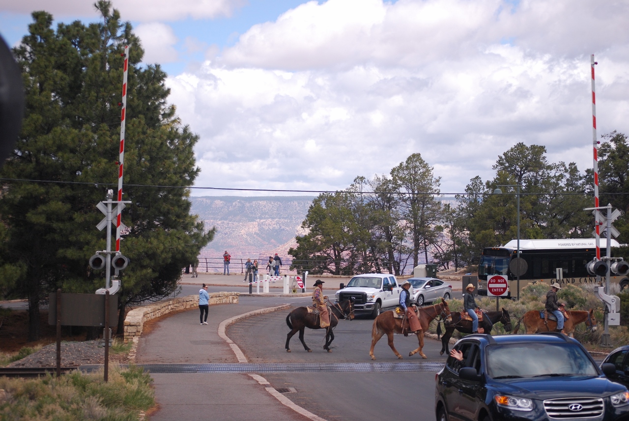 Simi Valley Corvettes