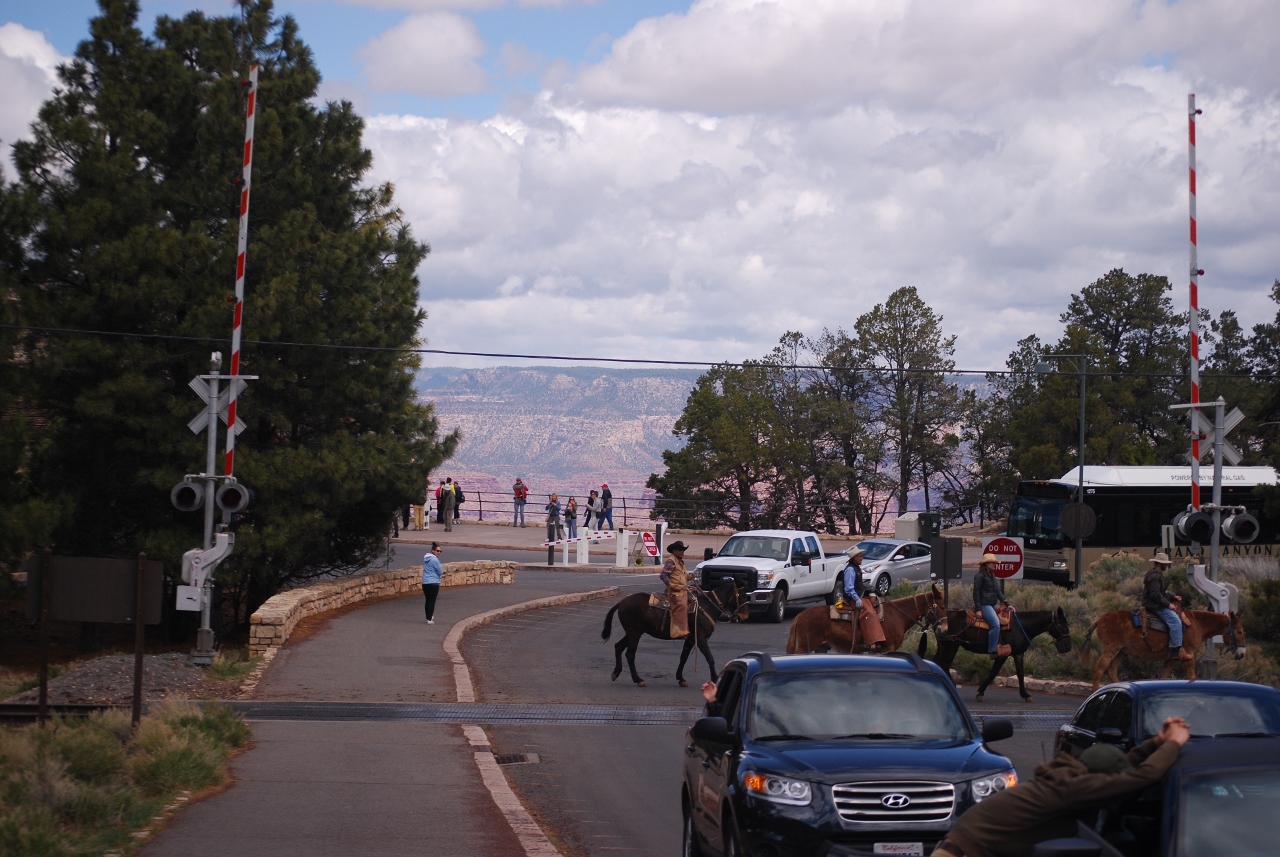 Simi Valley Corvettes