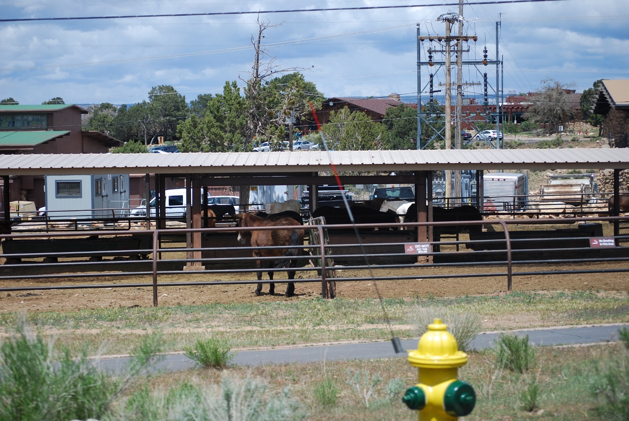 Simi Valley Corvettes