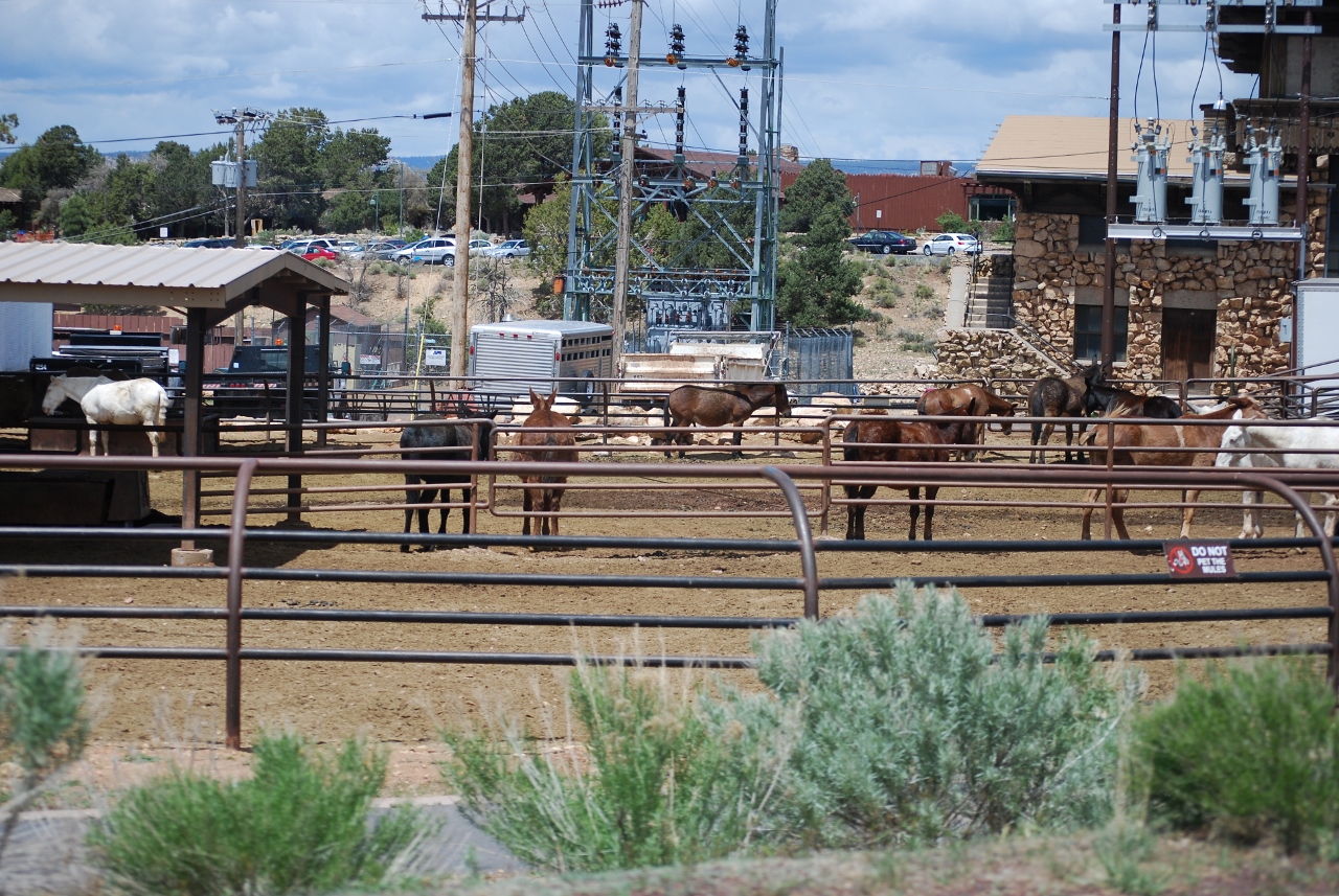 Simi Valley Corvettes