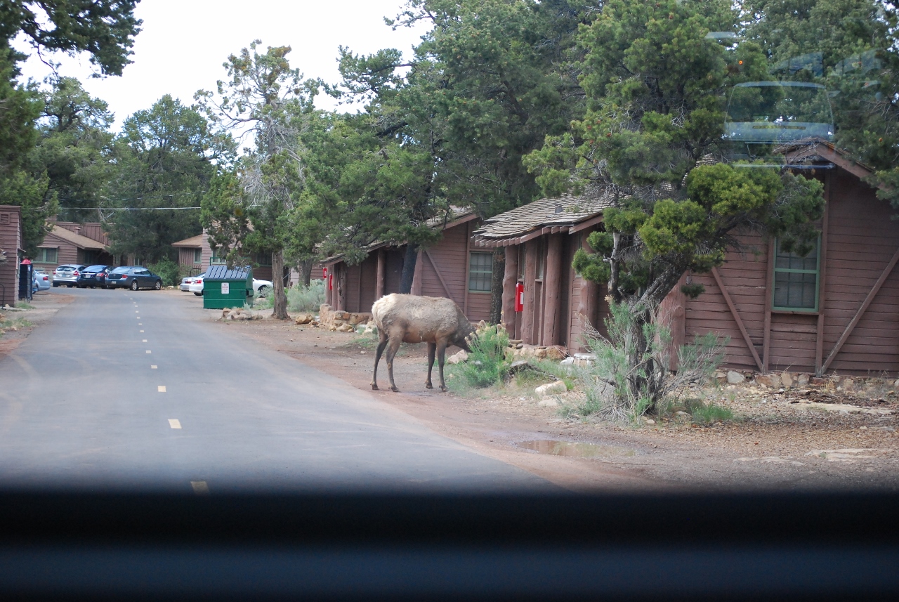Simi Valley Corvettes