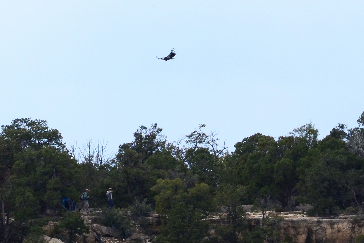 Simi Valley Corvettes