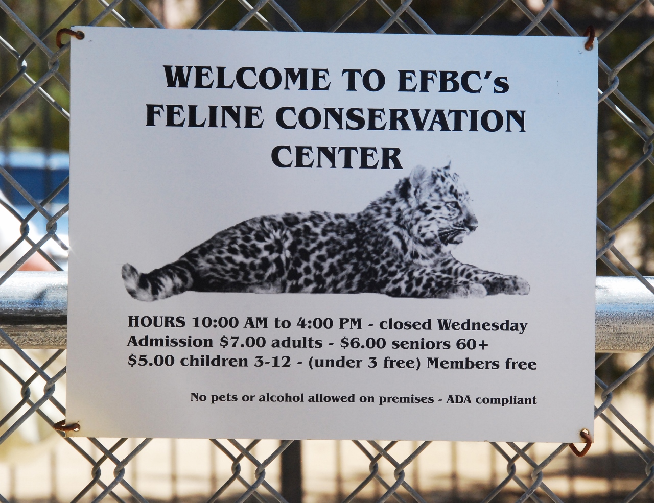 Simi Valley Corvettes