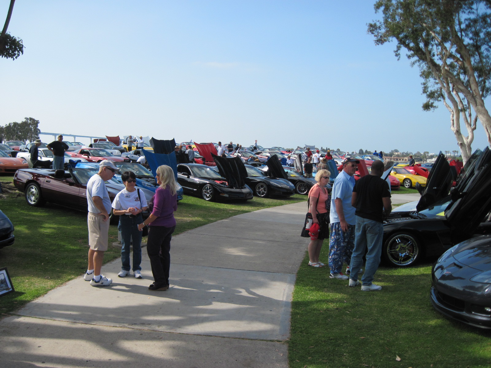 Simi Valley Corvettes