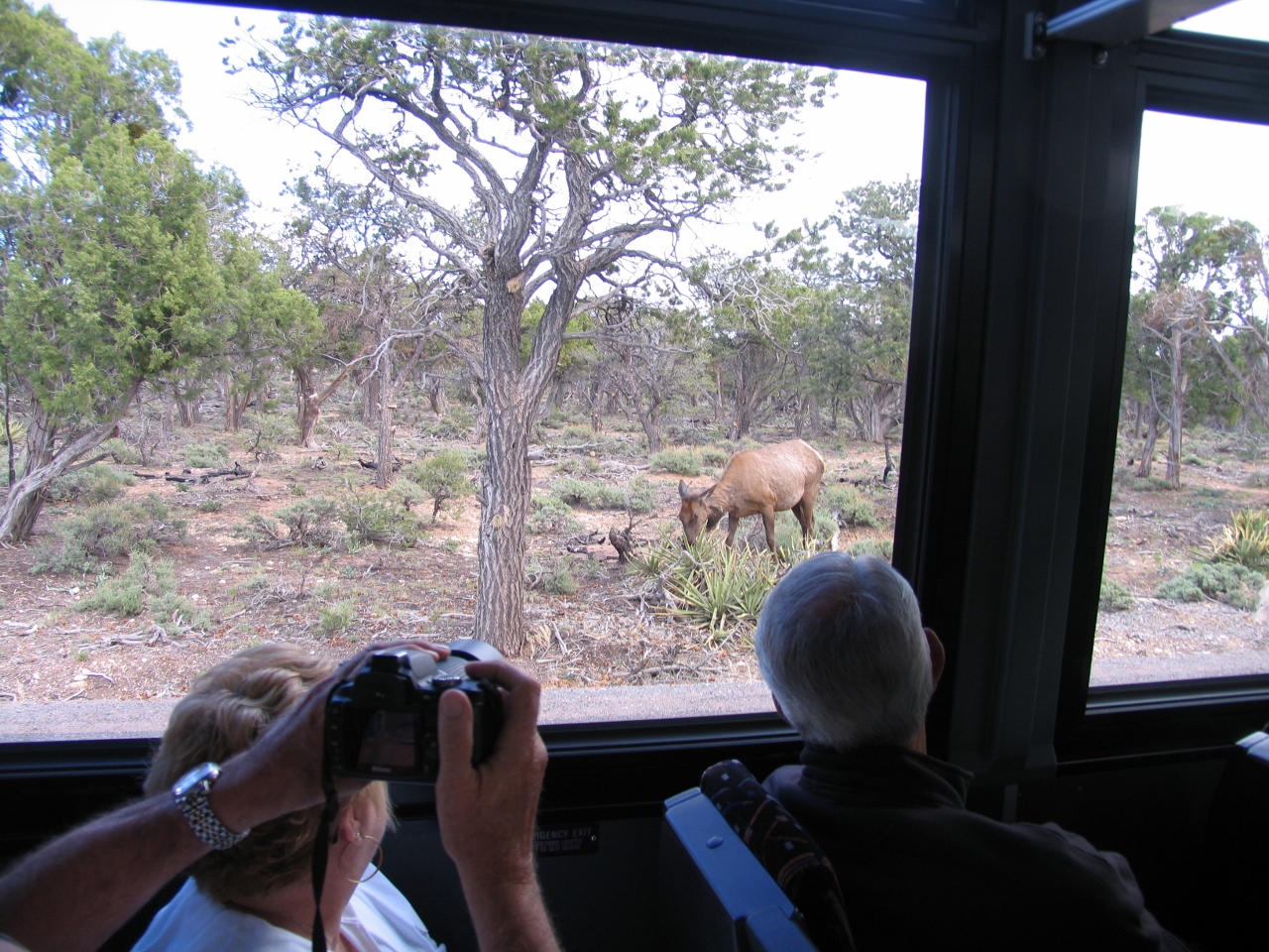 Simi Valley Corvettes