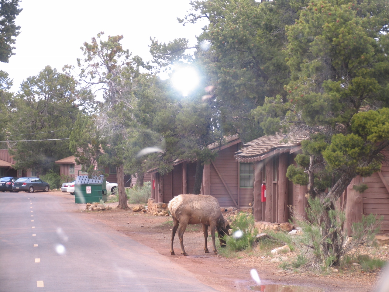 Simi Valley Corvettes