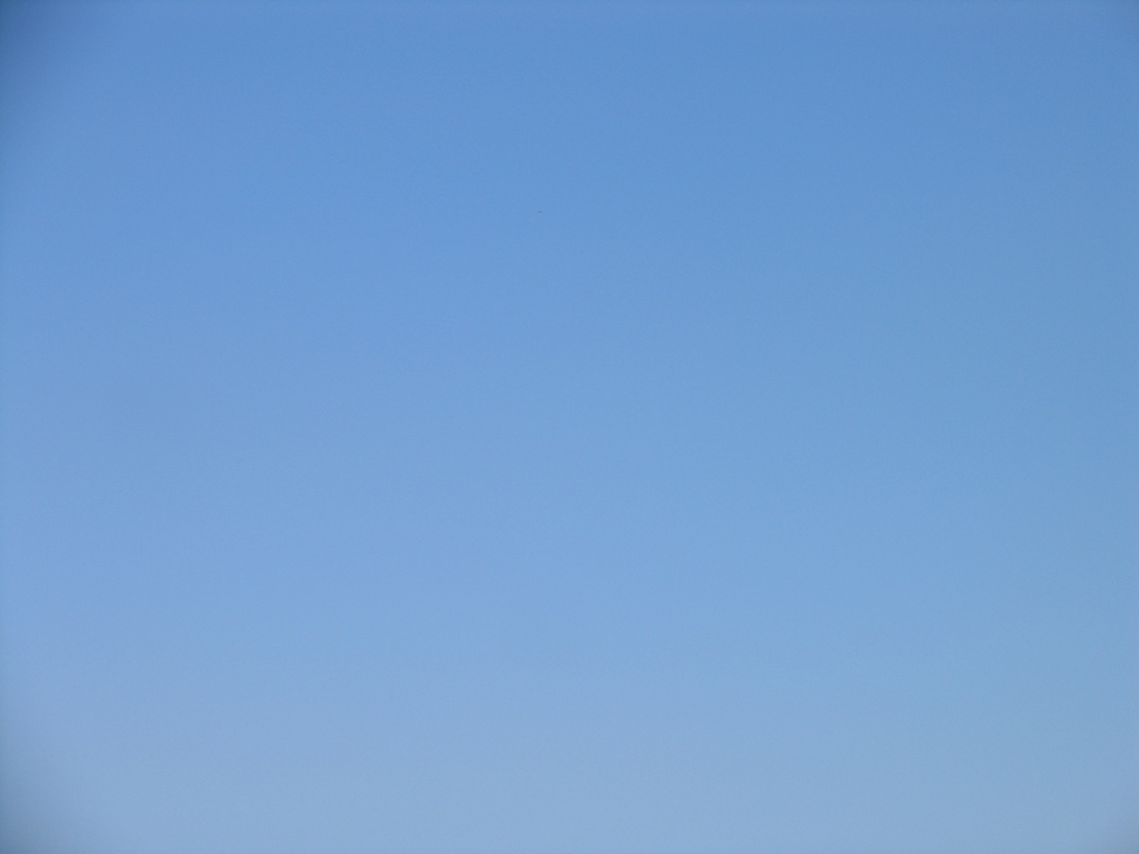 Simi Valley Corvettes