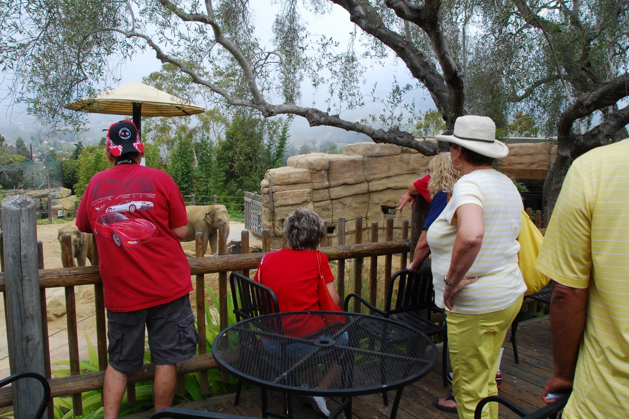 Simi Valley Corvettes